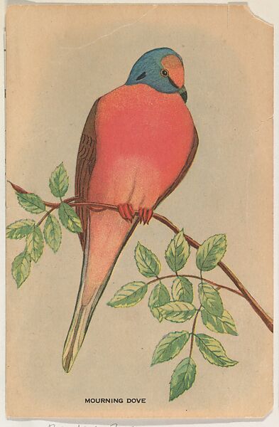 Mourning Dove, issued by Weber Baking Company, Issued by Weber Baking Company, Commercial color lithograph 