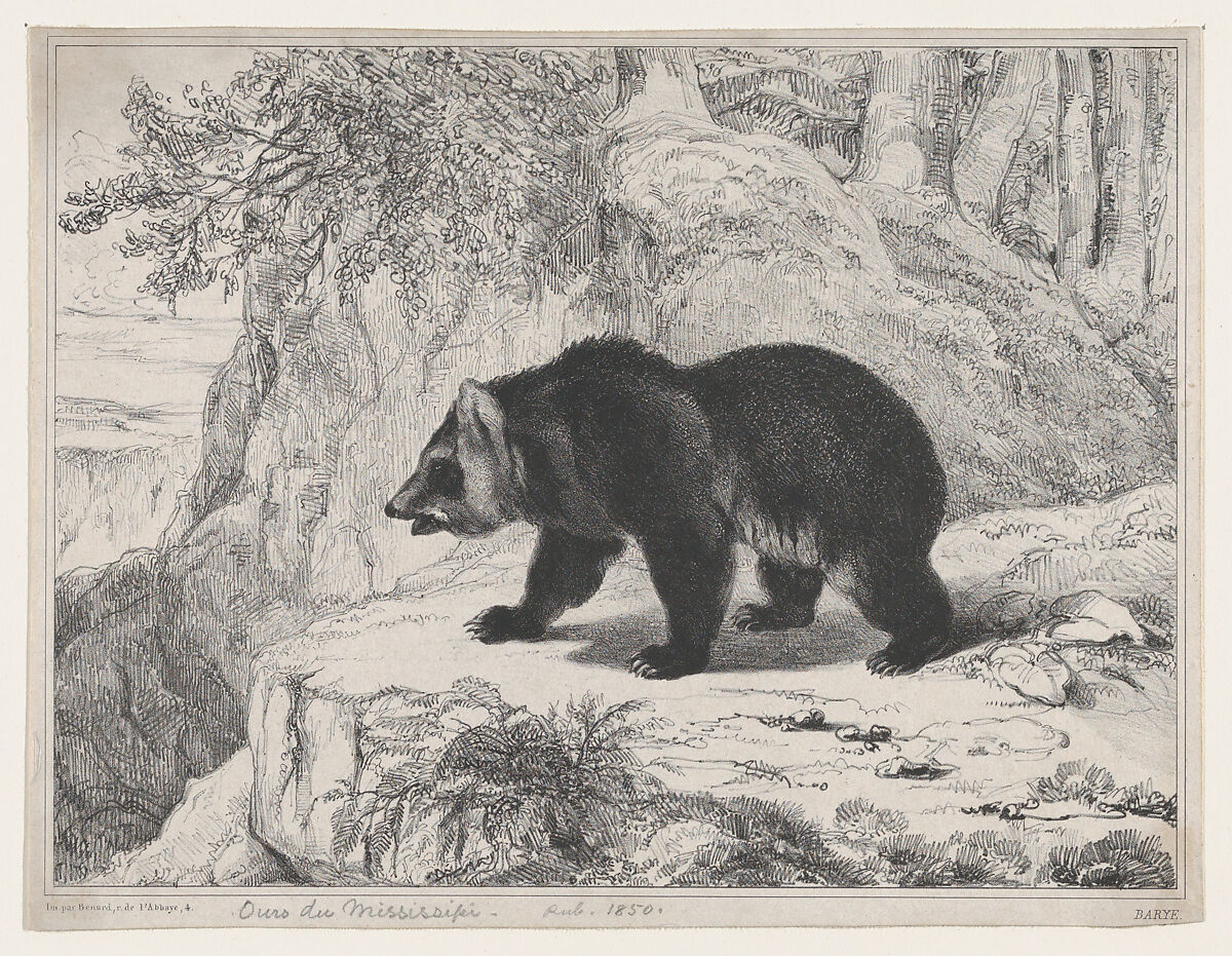 Mississippi Bear, Antoine-Louis Barye (French, Paris 1795–1875 Paris), Lithograph 