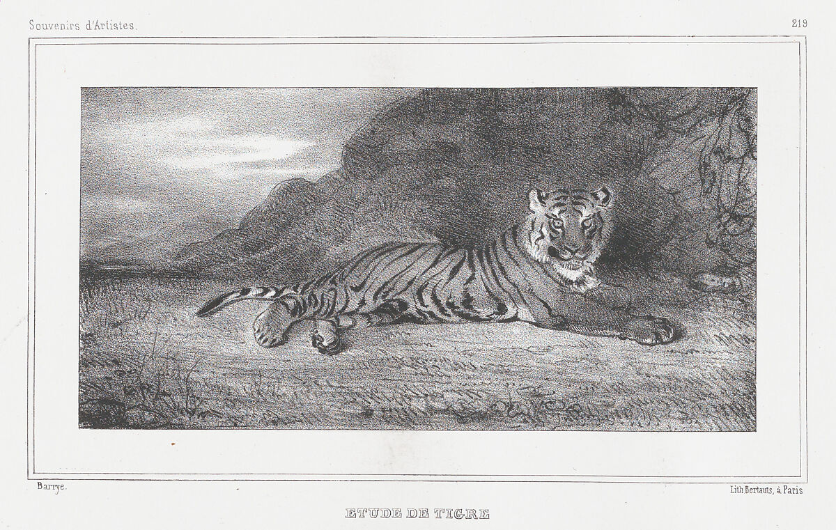 Study of a Tiger, Antoine-Louis Barye (French, Paris 1795–1875 Paris), Lithograph; third state of three 