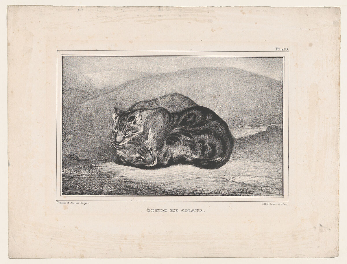 Study of Cats, Antoine-Louis Barye (French, Paris 1795–1875 Paris), Lithograph 
