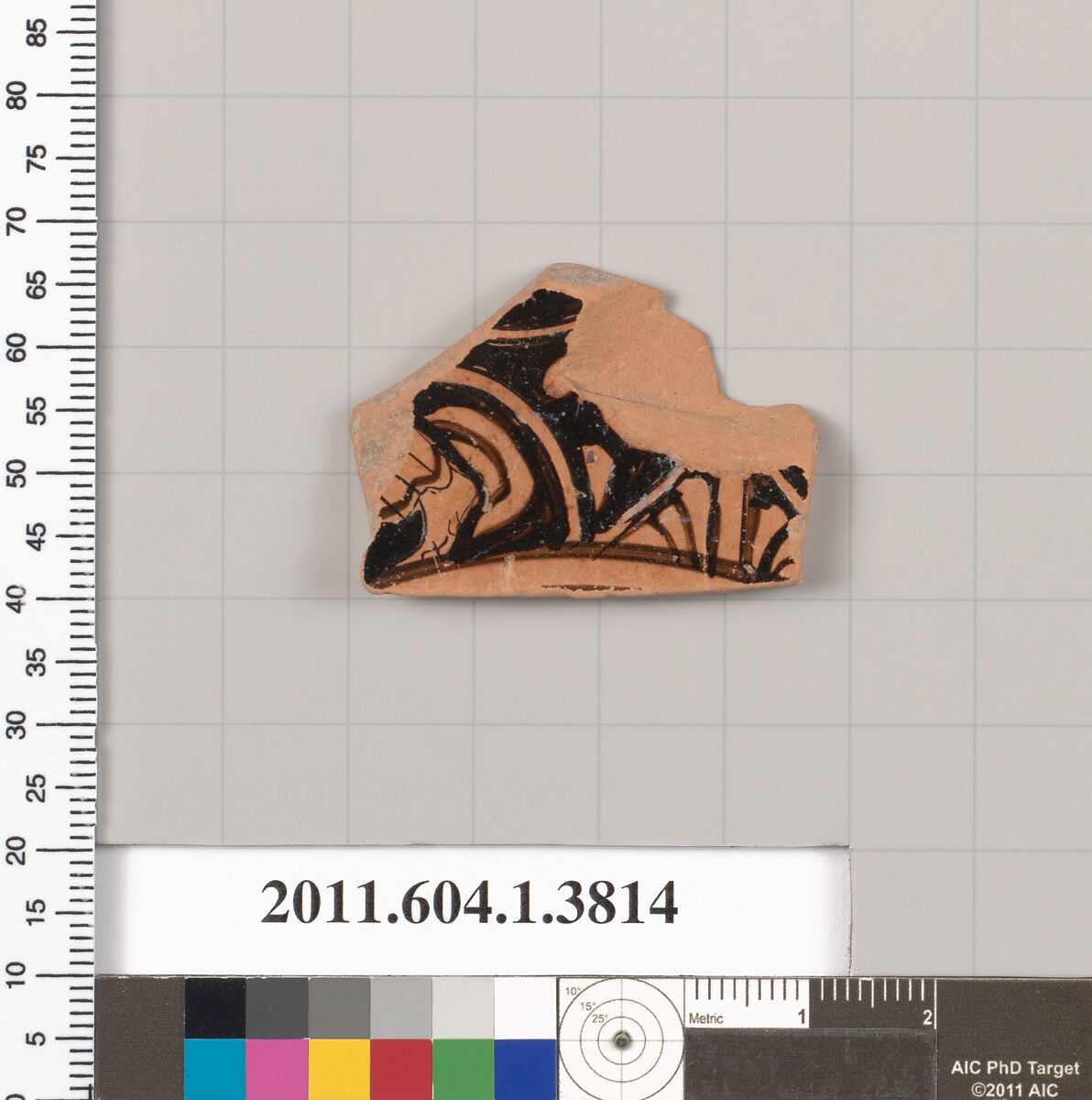 Terracotta fragment of a kylix (drinking cup), Terracotta, Greek, Attic