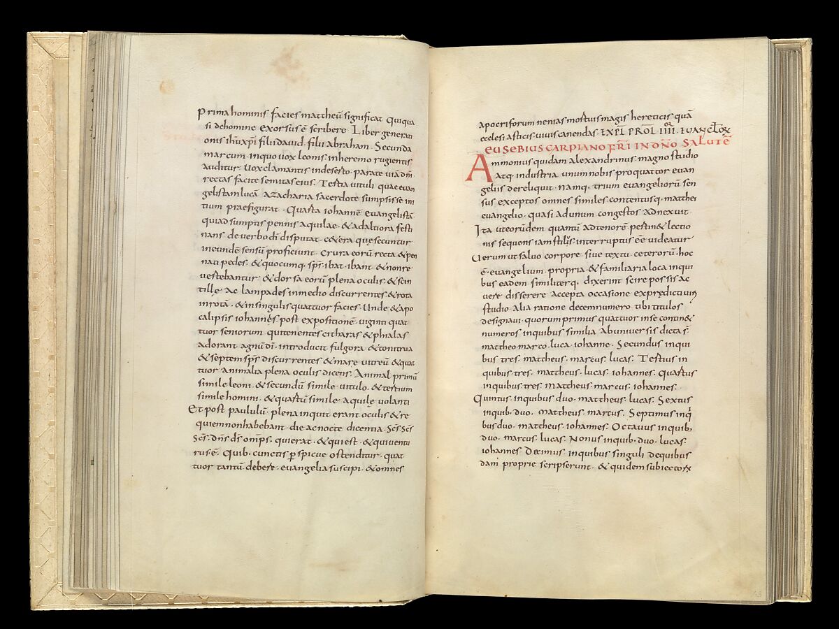 Gospel Book, Ink and opaque watercolor on parchment; modern leather binding, Carolingian