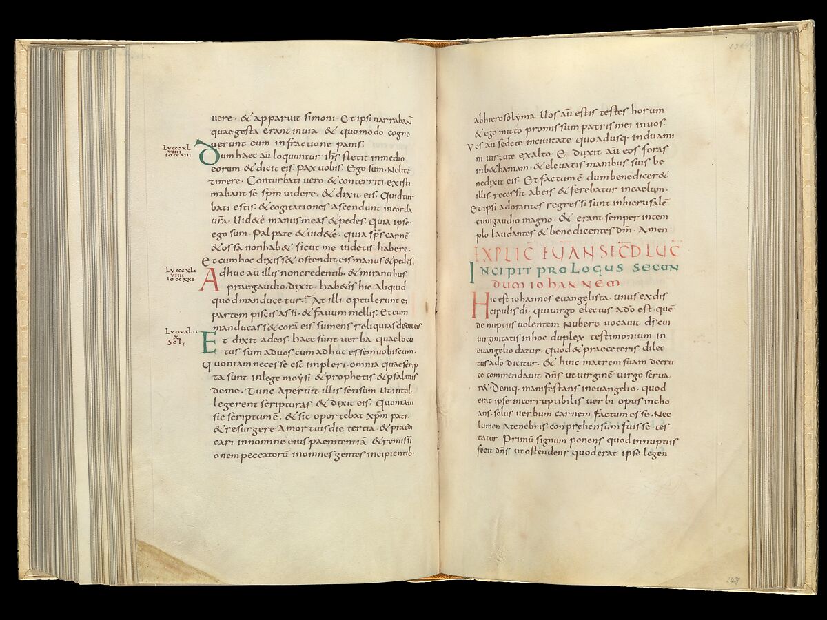 Gospel Book, Ink and opaque watercolor on parchment; modern leather binding, Carolingian