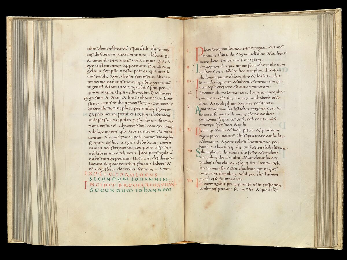 Gospel Book, Ink and opaque watercolor on parchment; modern leather binding, Carolingian
