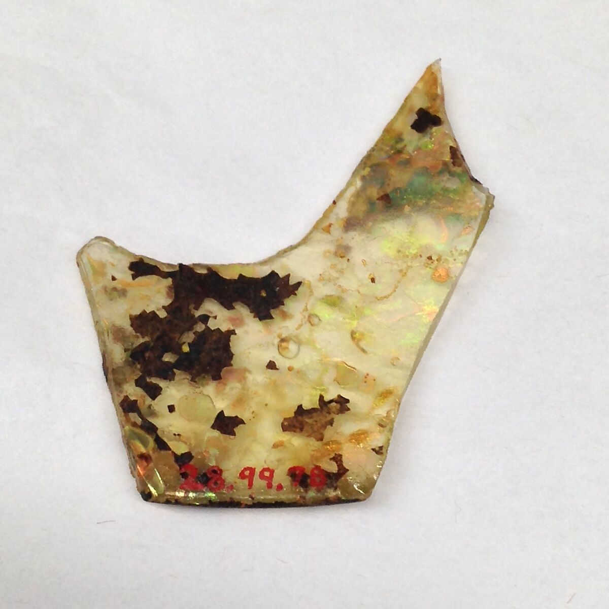 Fragment, Glass, ceramic, European or Middle Eastern 