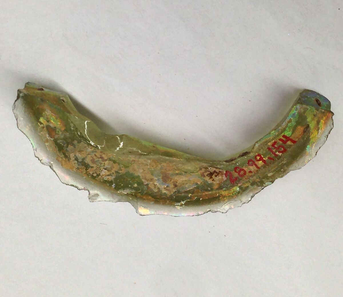 Fragment, Glass, ceramic, European or Middle Eastern 