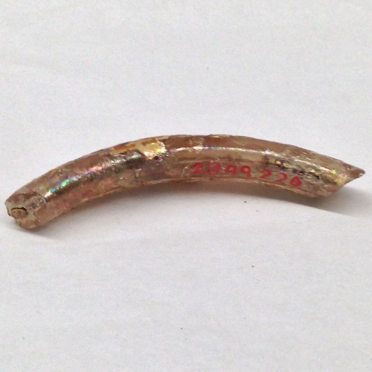 Fragment, Glass, ceramic, European or Middle Eastern 