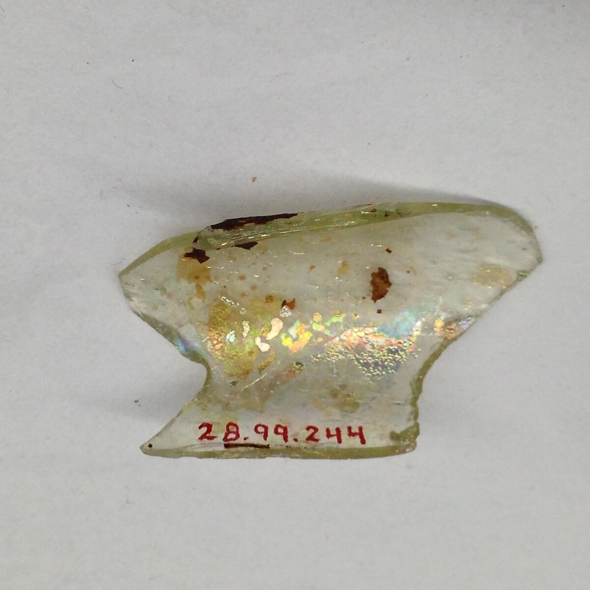 Fragment, Glass, ceramic, European or Middle Eastern 