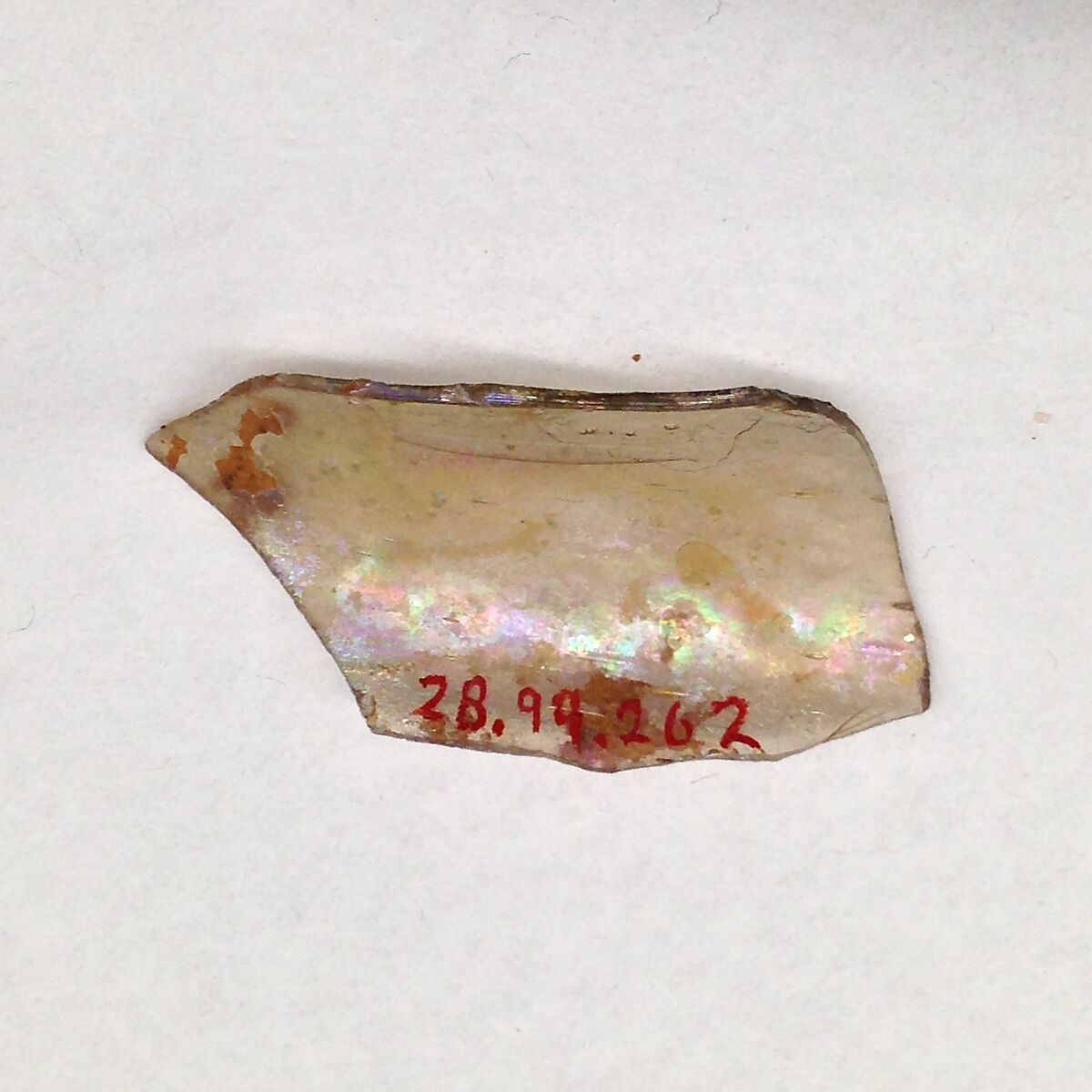 Fragment, Glass, ceramic, European or Middle Eastern 