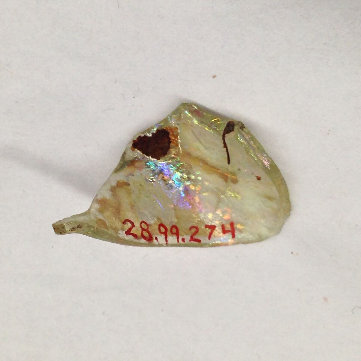 Fragment, Glass, ceramic, European or Middle Eastern 