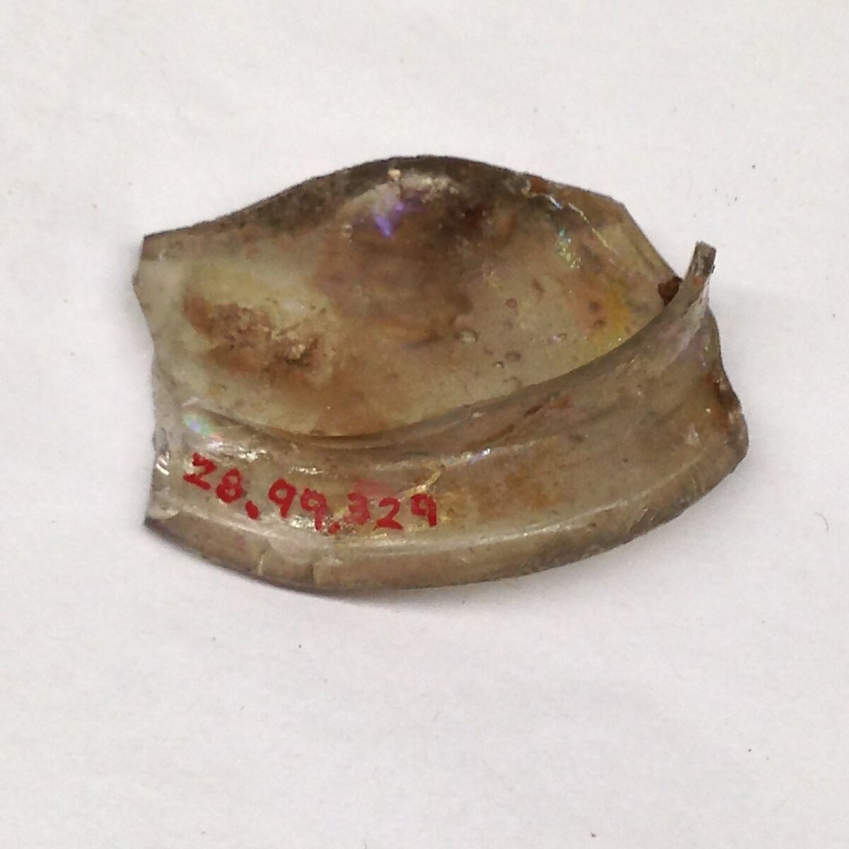 Fragment, Glass, ceramic, European or Middle Eastern 