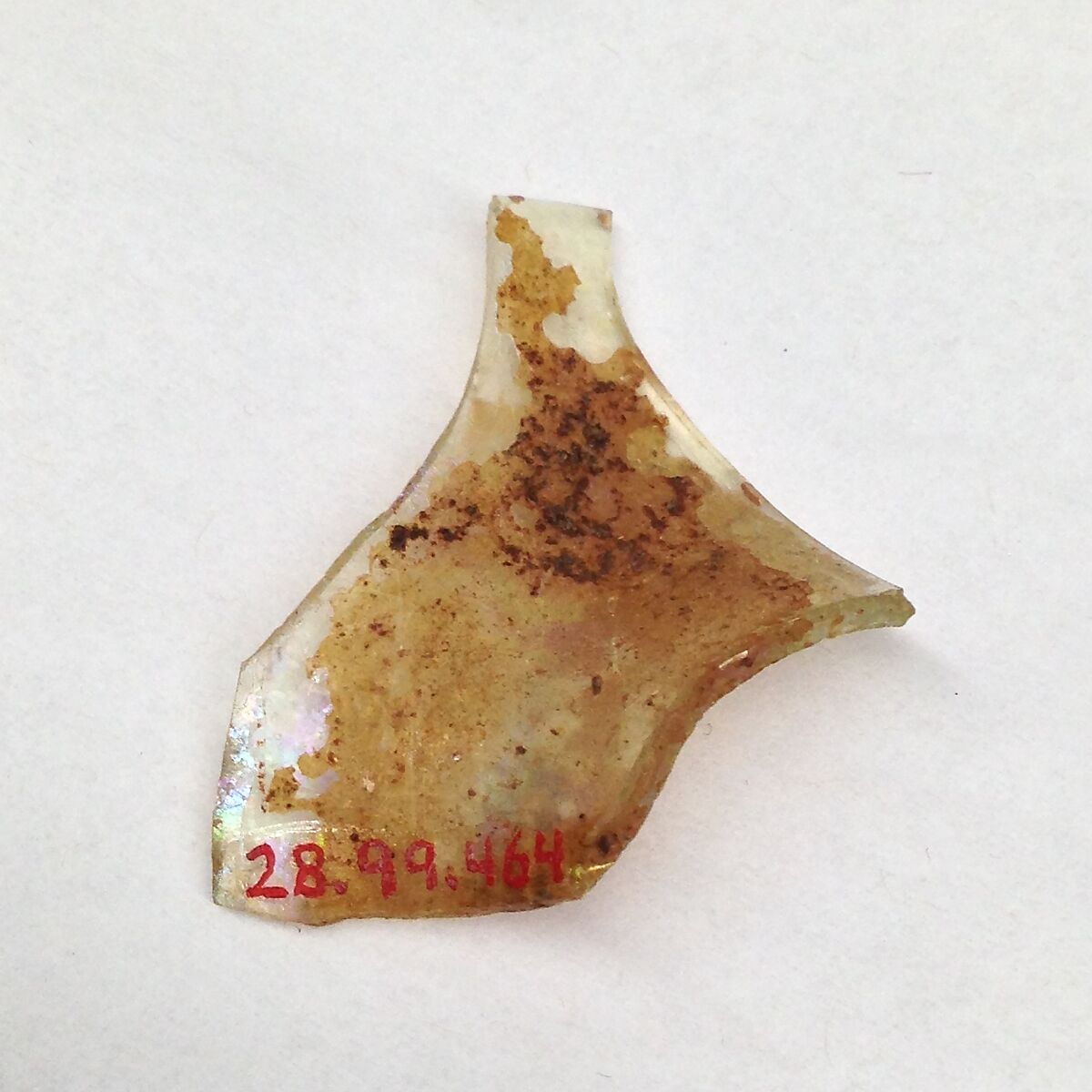 Fragment, Glass, ceramic, European or Middle Eastern 