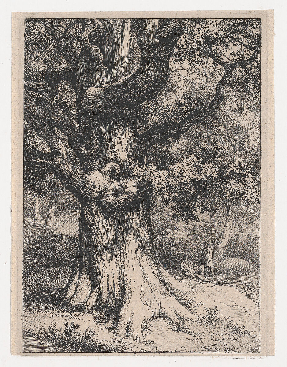 The Charlemagne, Oak Tree with an Eagle's Nest, Eugène Stanislas Alexandre Bléry (French, Fontainebleau 1805–1887 Paris), Etching; second state 