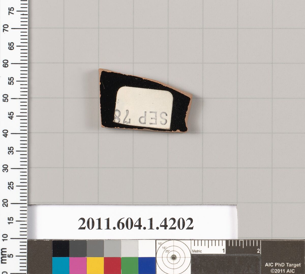 Terracotta fragment of a kylix (drinking cup), Terracotta, Greek, Attic