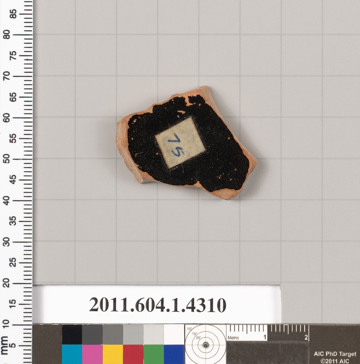 Terracotta fragment of a kylix (drinking cup), Terracotta, Greek, Attic