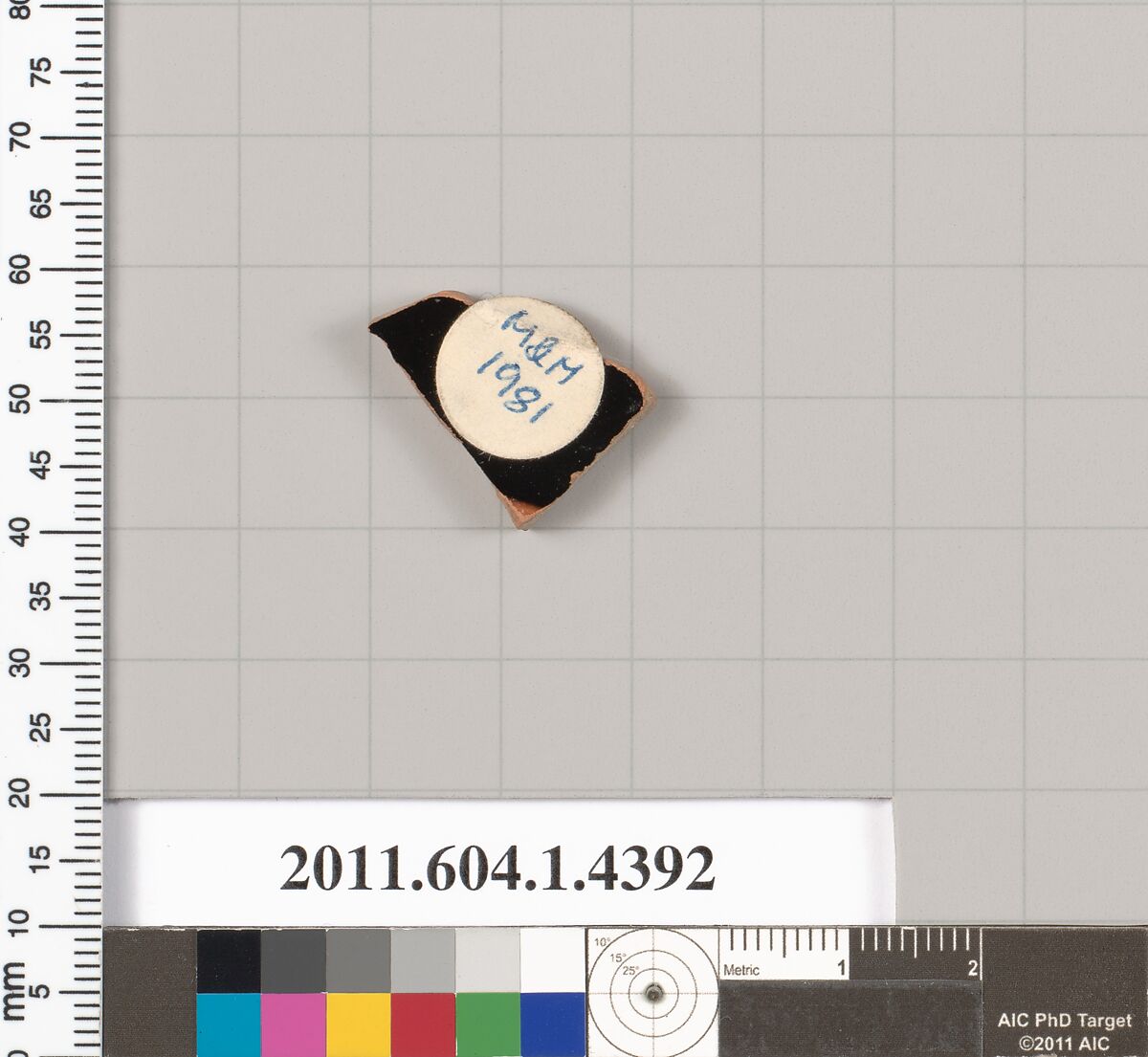 Terracotta fragment of a kylix (drinking cup), Terracotta, Greek, Attic
