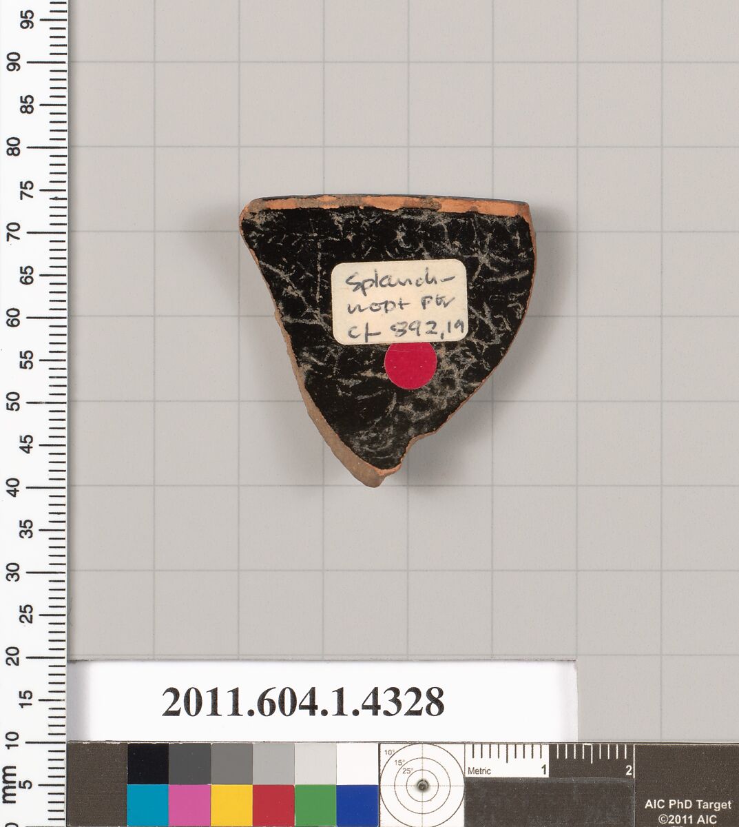 Terracotta fragment of a kylix (drinking cup), Attributed to the Splanchnopt Painter [DvB], Terracotta, Greek, Attic