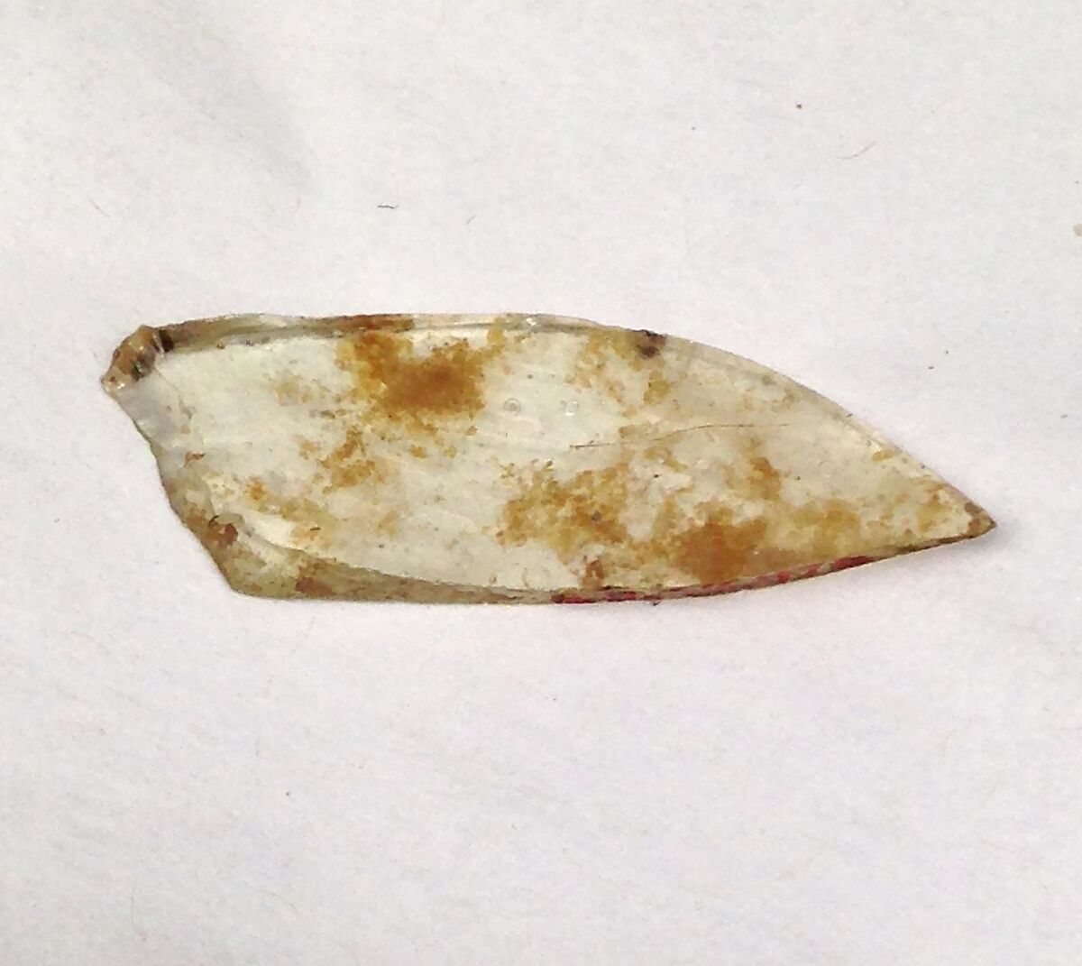 Fragment, Glass, ceramic, European or Middle Eastern 