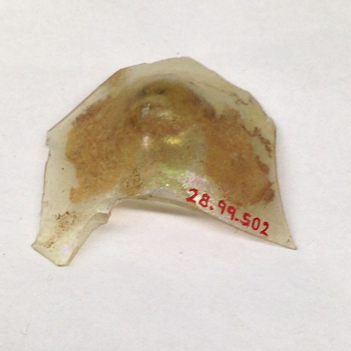 Fragment, Glass, ceramic, European or Middle Eastern 