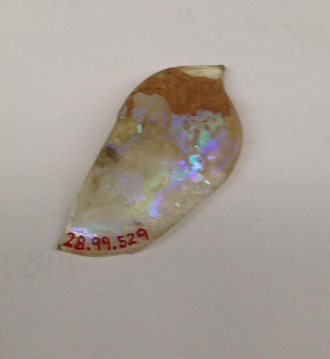 Fragment, Glass, ceramic, European or Middle Eastern 