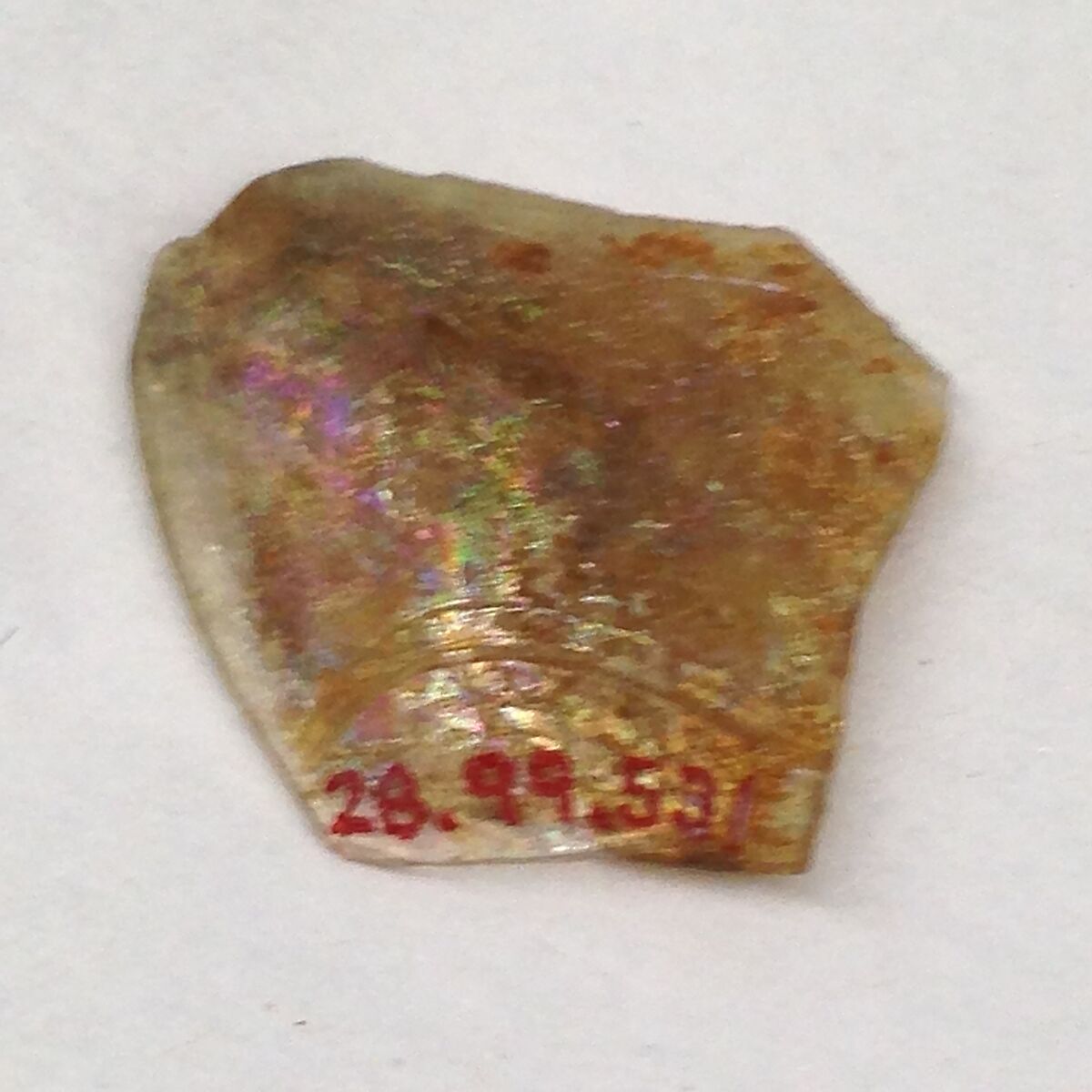 Fragment, Glass, ceramic, European or Middle Eastern