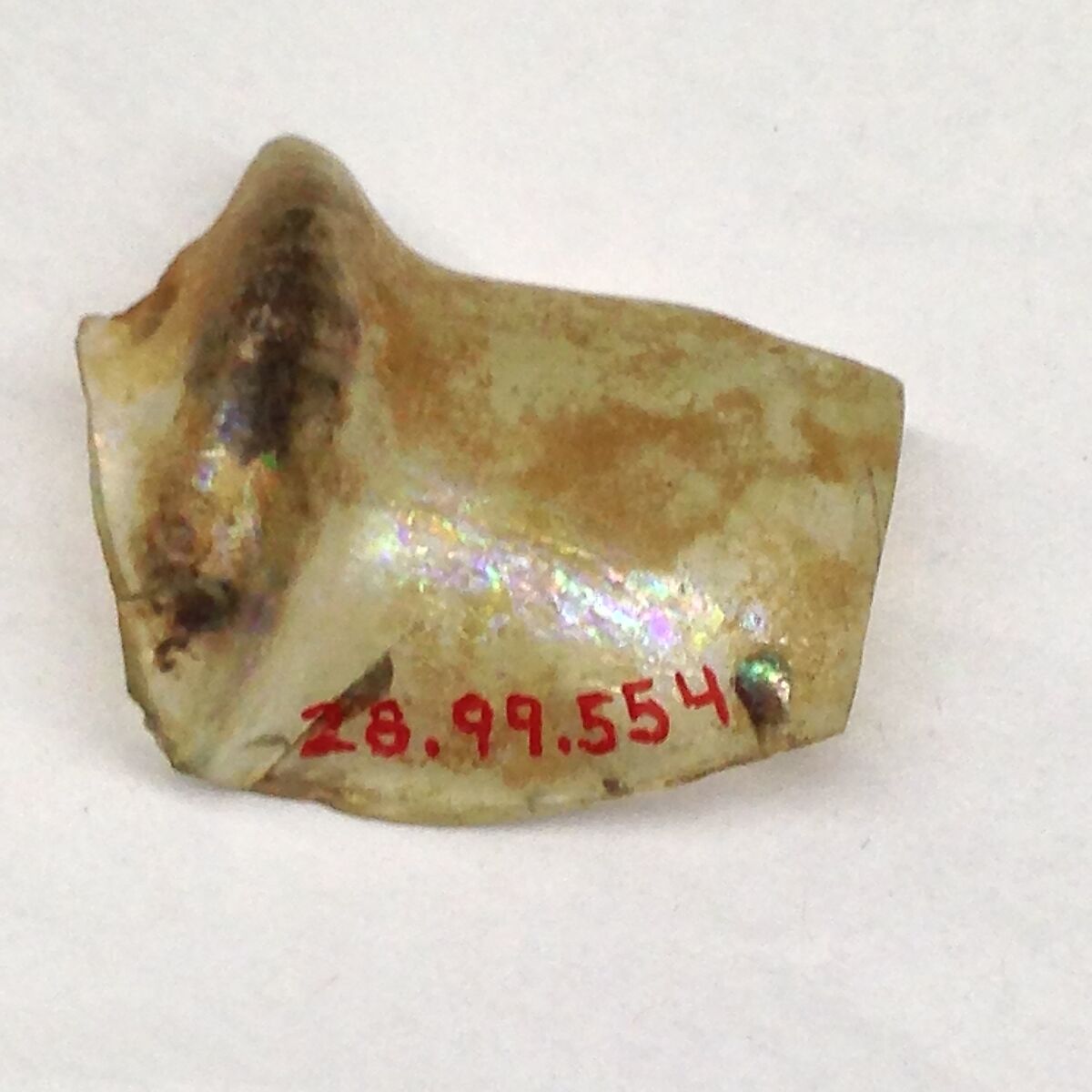 Fragment, Glass, ceramic, European or Middle Eastern