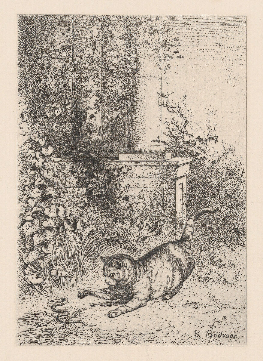 A Domestic Cat Playing with a Garter Snake, from "Eaux-Fortes Animaux & Paysages", Karl Bodmer (Swiss, Riesbach 1809–1893 Barbizon), Etching 