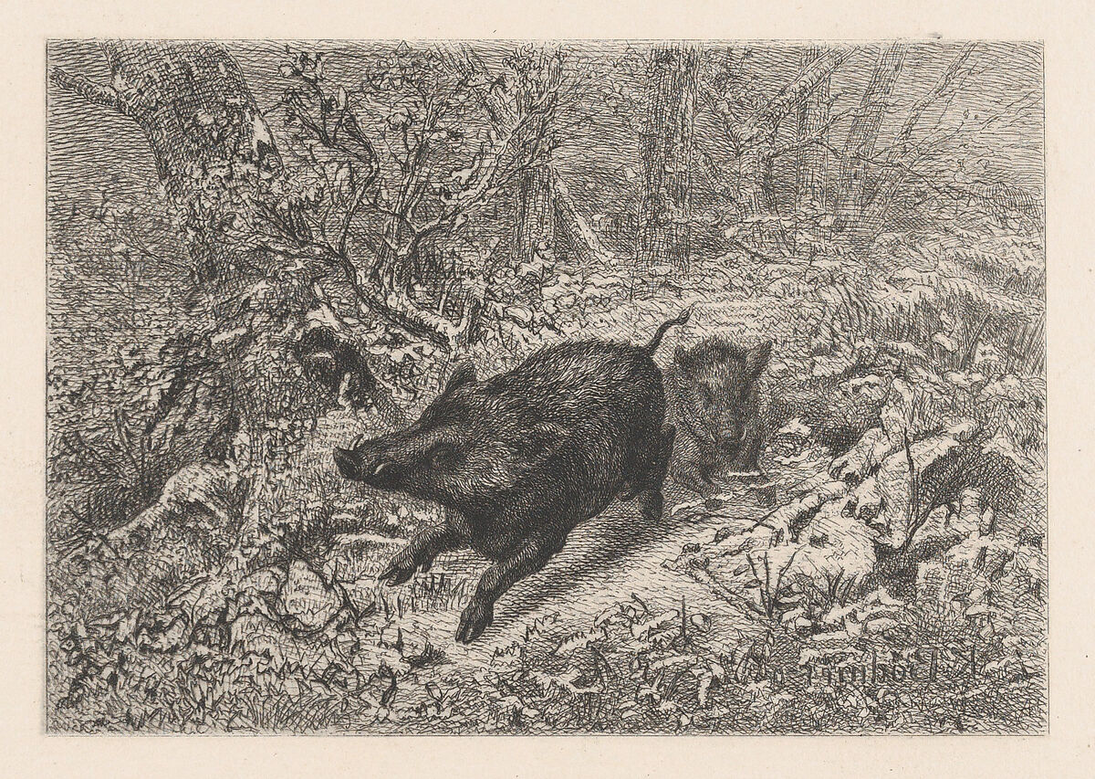 Wild Boar, from "Eaux-Fortes Animaux & Paysages", Karl Bodmer (Swiss, Riesbach 1809–1893 Barbizon), Etching 