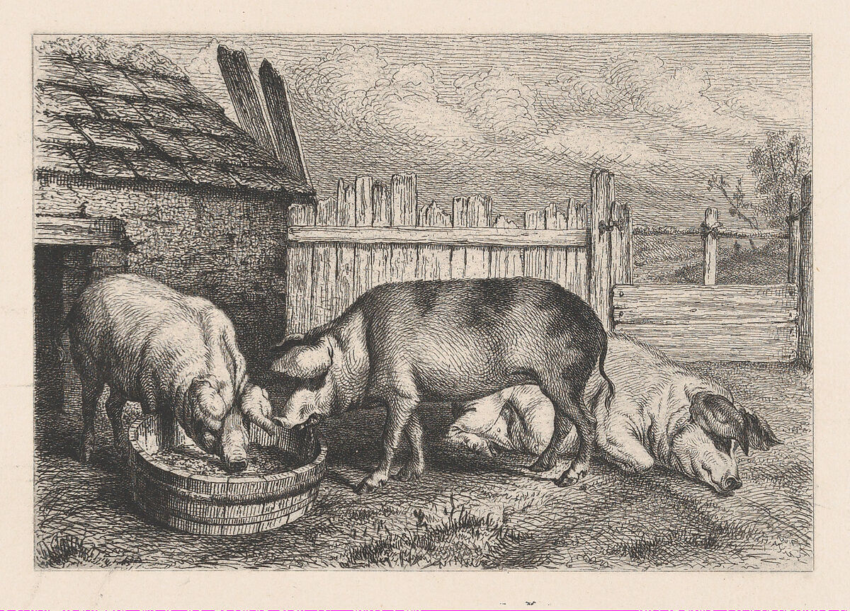 Three Pigs Near a Fence, Karl Bodmer (Swiss, Riesbach 1809–1893 Barbizon), Etching 