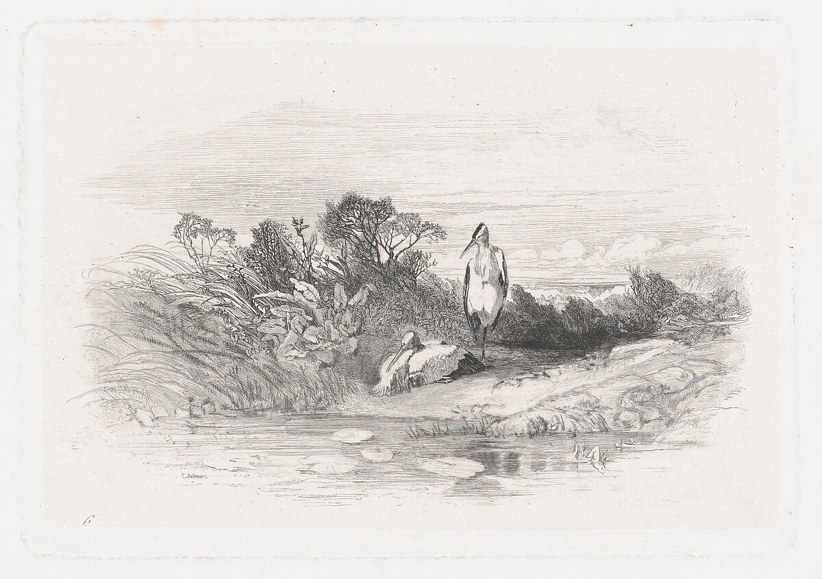 Two Herons, Karl Bodmer (Swiss, Riesbach 1809–1893 Barbizon), Etching 