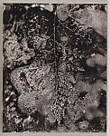 The Island of Rota, Abelardo Morell (American, born Havana, Cuba, 1948), Artist's book