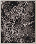 The Island of Rota, Abelardo Morell (American, born Havana, Cuba, 1948), Artist's book