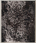 The Island of Rota, Abelardo Morell (American, born Havana, Cuba, 1948), Artist's book