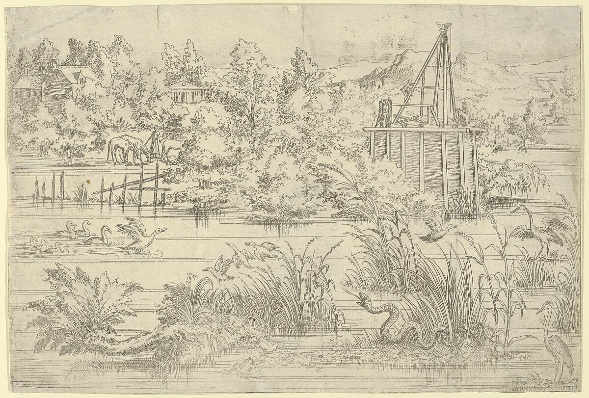 Riverbank with Serpent, Léon Davent (French, active 1540–56), Etching 