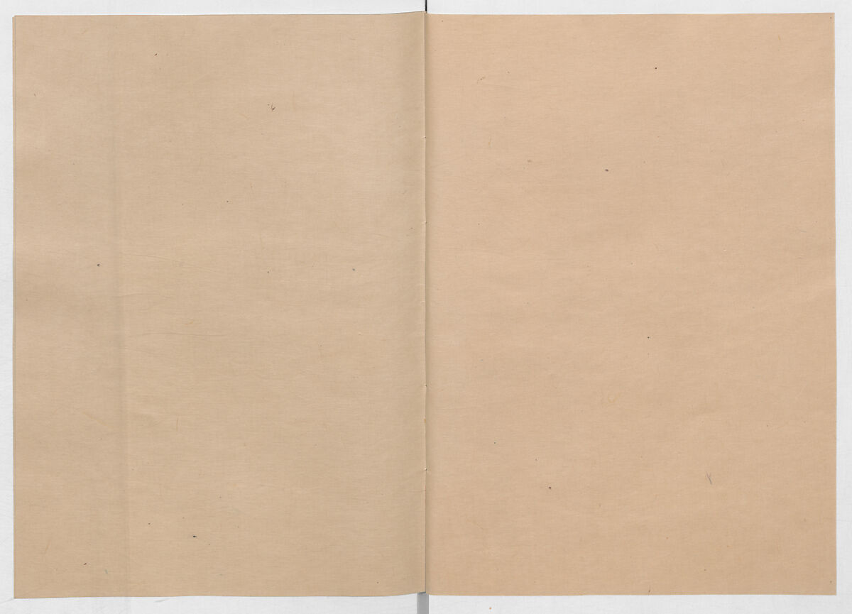 Manuscript Version of “The Chronicle of Great Peace”, Forty-one volumes of books; ink on paper, Japan