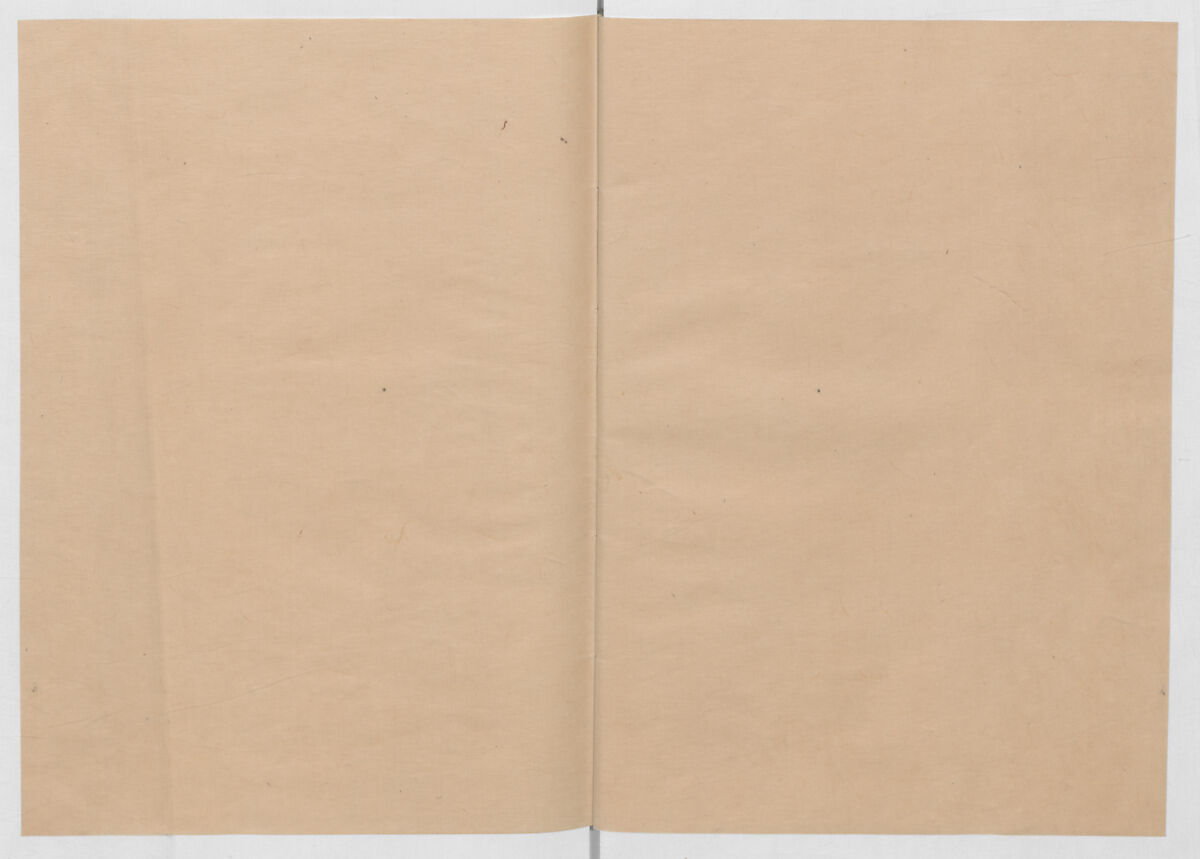 Manuscript Version of “The Chronicle of Great Peace”, Forty-one volumes of books; ink on paper, Japan