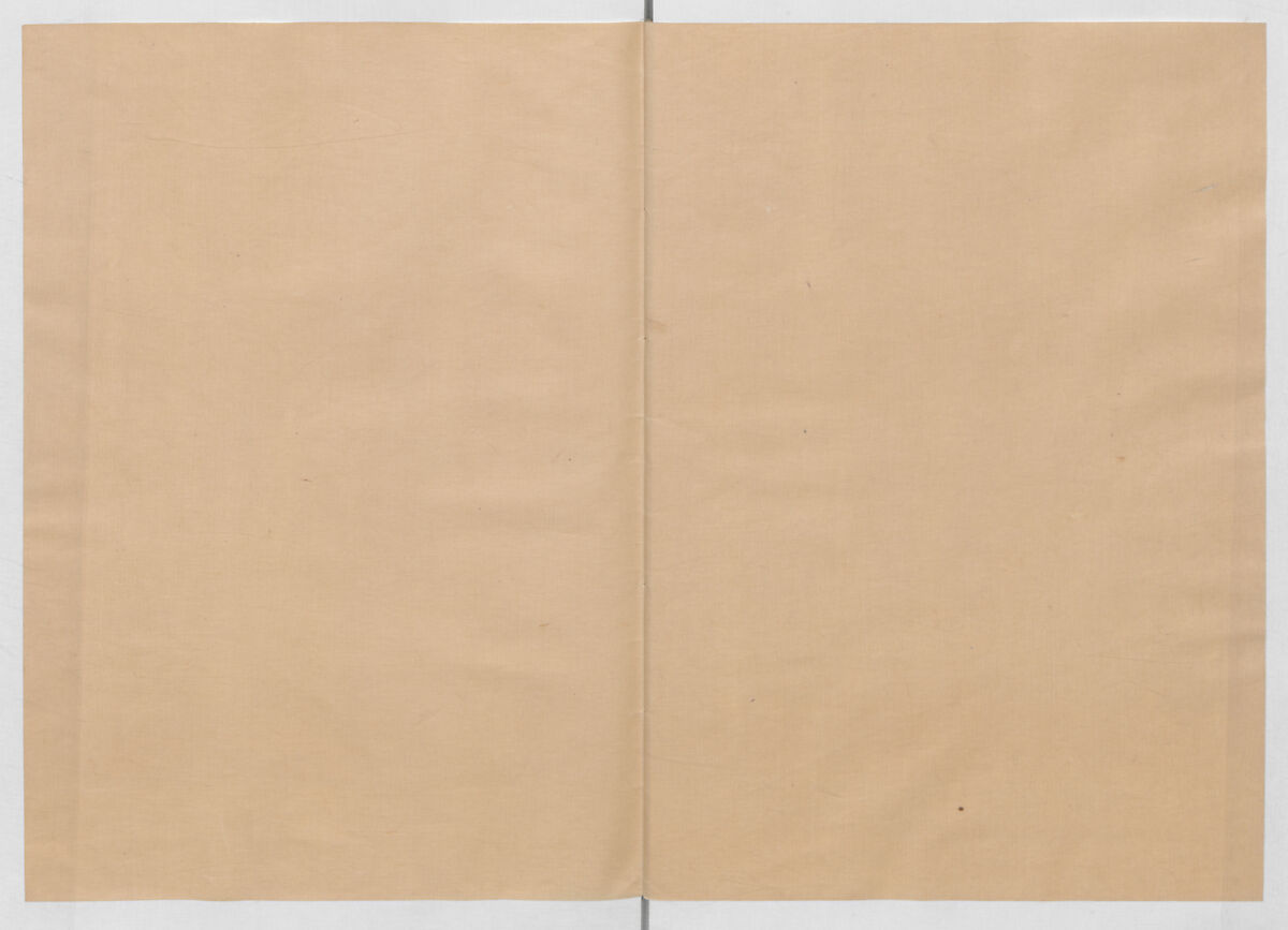 Manuscript Version of “The Chronicle of Great Peace”, Forty-one volumes of books; ink on paper, Japan