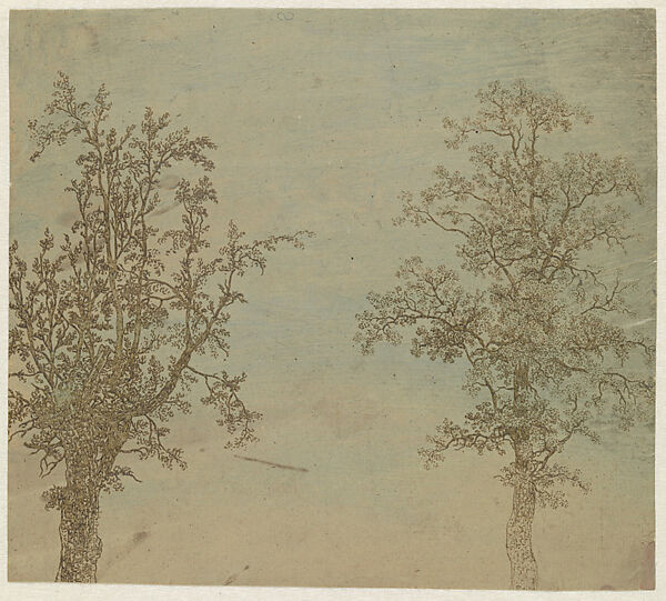 The Two Trees (An Alder and an Ash), Hercules Segers (Dutch, ca. 1590–ca. 1638), Lift-ground etching printed in green, on a light pink ground, colored with brush; unique impression 