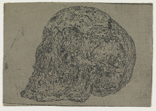 A Skull, Hercules Segers (Dutch, ca. 1590–ca. 1638), Line etching printed in black on cotton with a gray ground; unique impression 