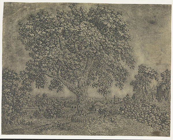 The Large Tree, Hercules Segers (Dutch, ca. 1590–ca. 1638), Line etching printed with tone and highlights, black chalk 
