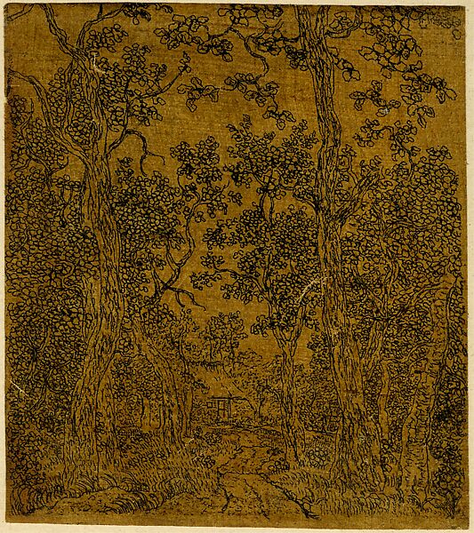 Small Wooded Landscape with a Road and a House, Hercules Segers (Dutch, ca. 1590–ca. 1638), Line etching printed on linen with a dark yellow ground 