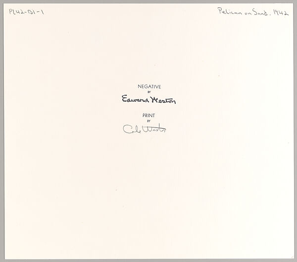 Pelican on Sand, Edward Weston (American, Highland Park, Illinois 1886–1958 Carmel, California), Gelatin silver print