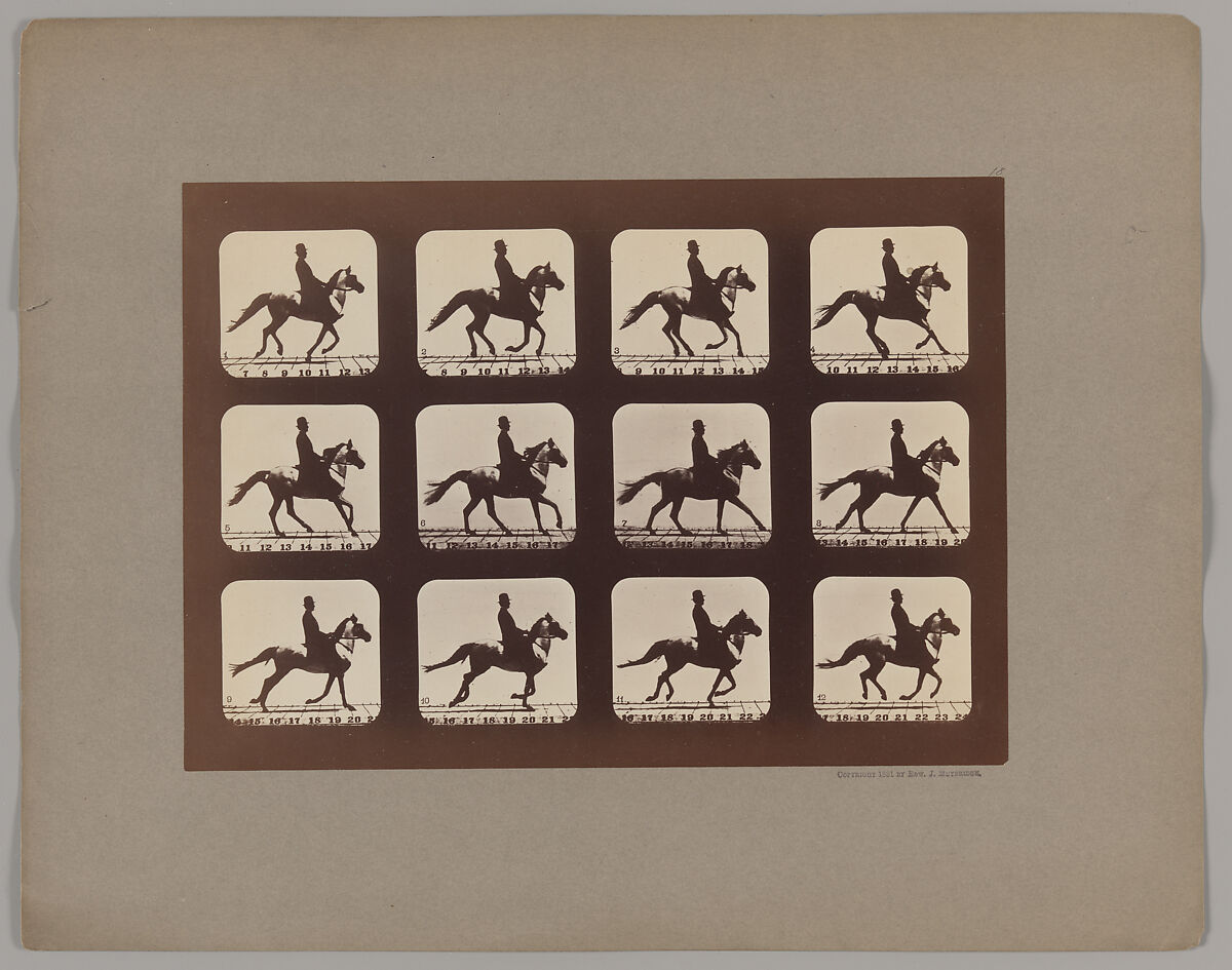 Attitudes of Animals in Motion, Eadweard Muybridge (British and American, Kingston upon Thames 1830–1904 Kingston upon Thames), Albumen silver print 