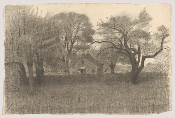 Rural Landscape