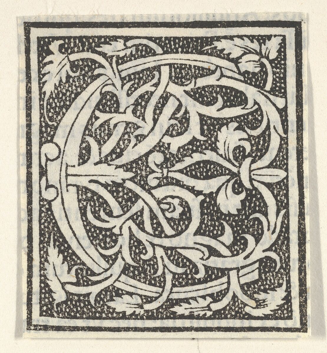 Initial letter C on patterned background, Anonymous, Italian, 16th century, Woodcut, criblé ground 