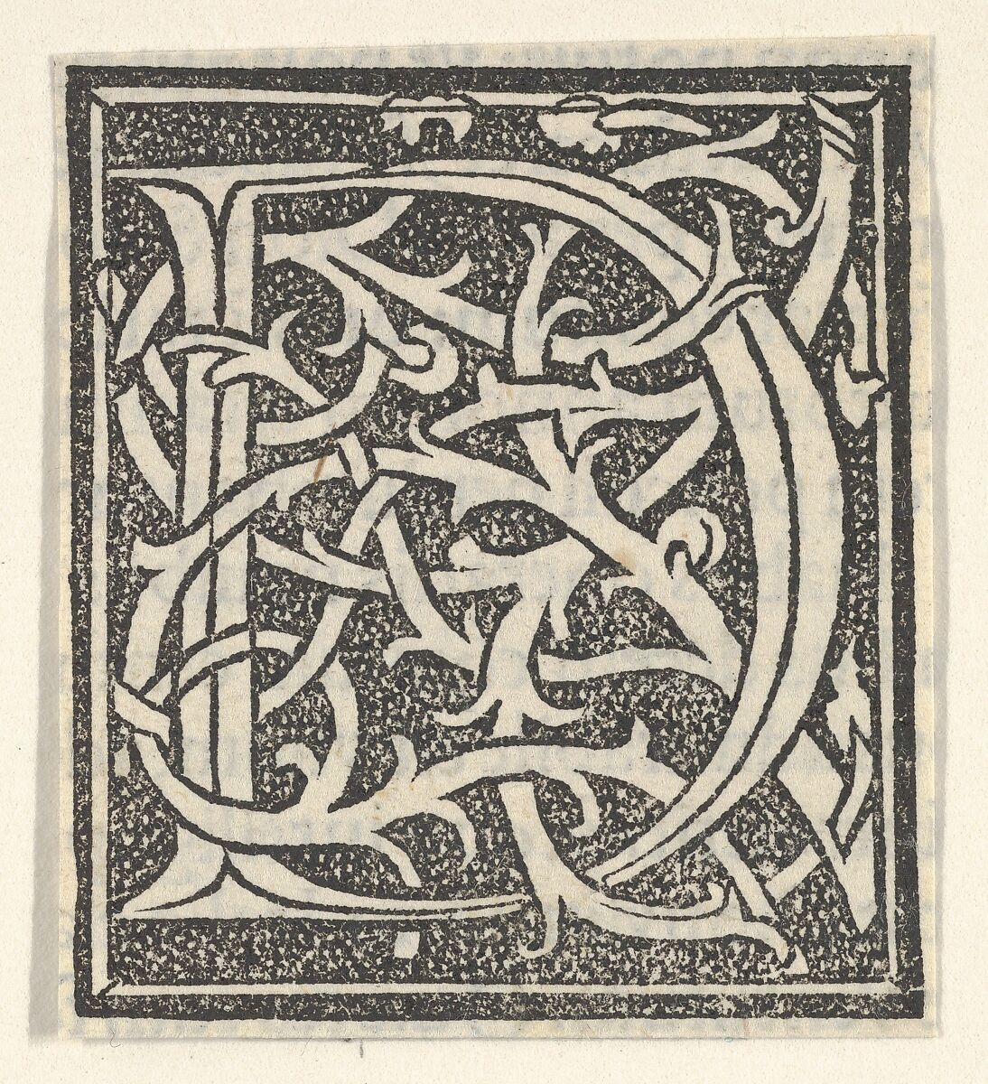 Initial letter D on patterned background, Anonymous, Italian, 16th century, Woodcut, criblé ground 