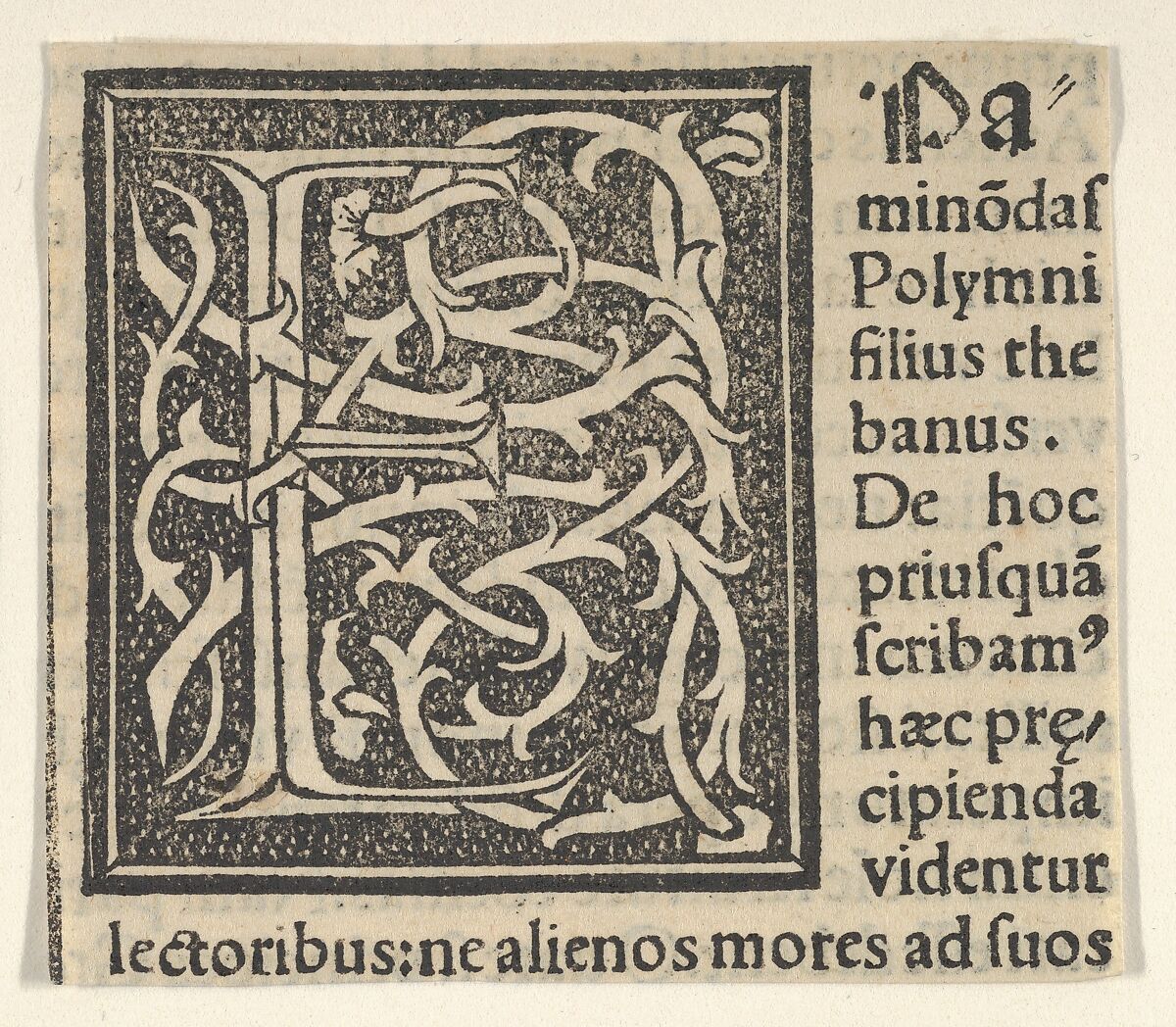 Initial letter E on patterned background, Anonymous, Italian, 16th century, Woodcut, criblé ground 