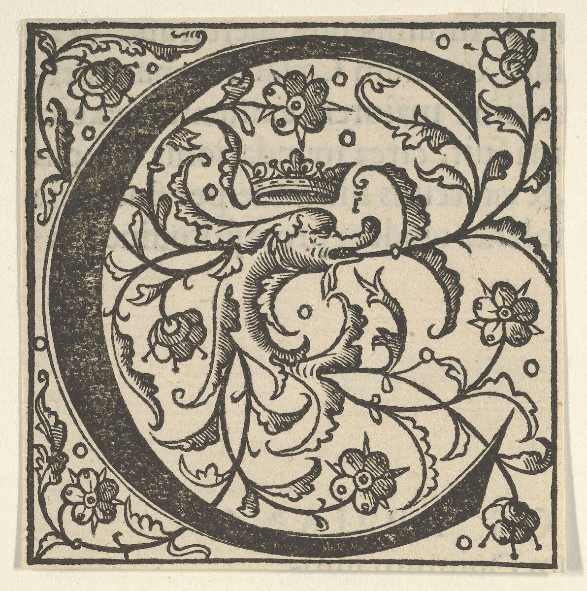 Initial letter C with dolphin and crown, Woodcut 