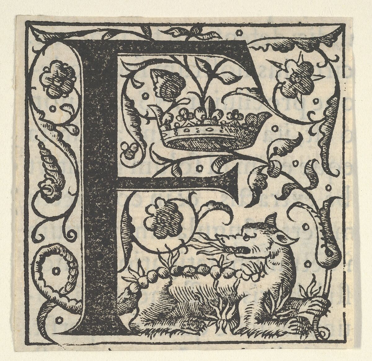 Initial letter F with salamander and crown (related to King Francis I), Woodcut 