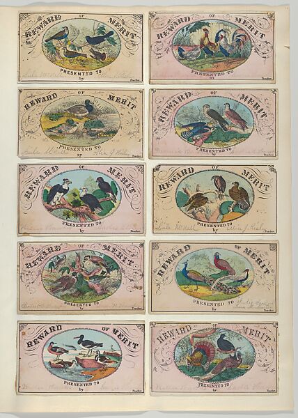 Reward of Merit cards depicting birds, Anonymous, American, 19th century, Hand colored lithograph 